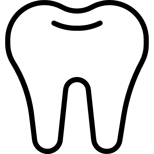 teeth